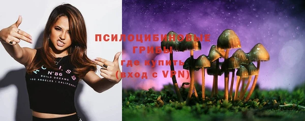 прущая мука Аркадак