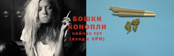 ешки Гусь-Хрустальный