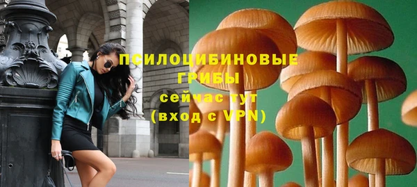 spice Гусиноозёрск