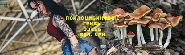 молекула духа Армянск