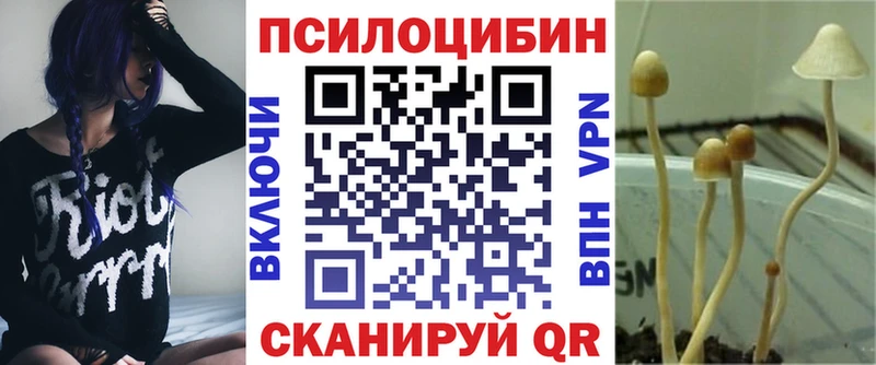 Галлюциногенные грибы Magic Shrooms Нововоронеж