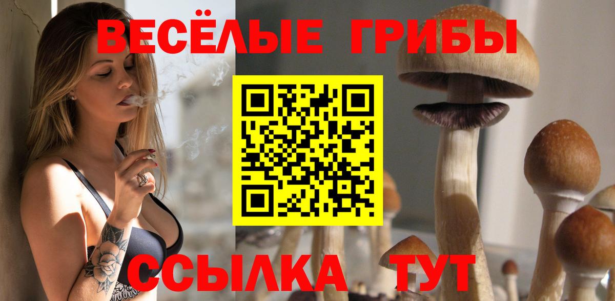 Галлюциногенные грибы мицелий Нововоронеж